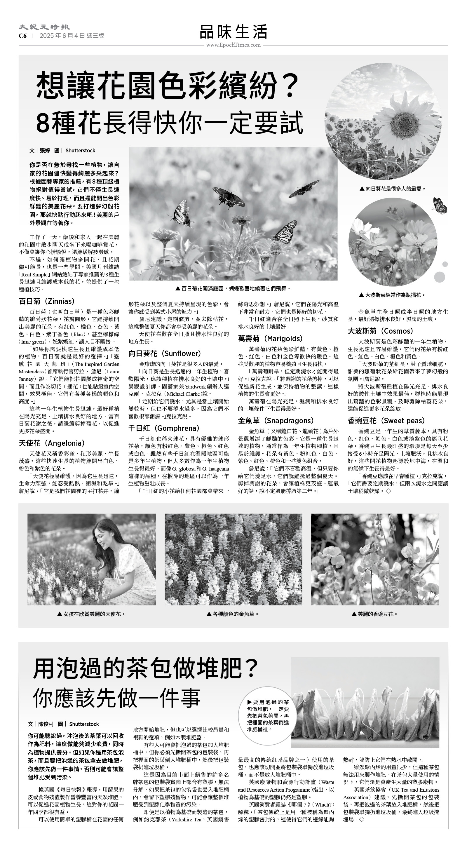 usEast_1554C_C06_BW.jpg