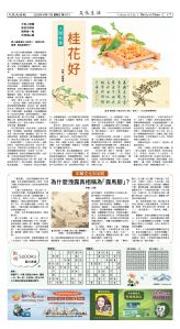 Djyatl_1573 20251017_C07.jpg