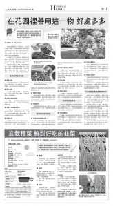 djysfo_1562A_20250728_25.jpg