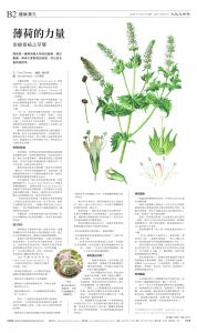 djytwo_1561A_20250721_10.jpg